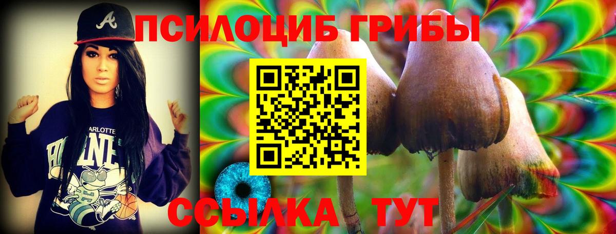 Псилоцибиновые грибы ЛСД  Псилоцибиновые грибы Psilocybine cubensis  Алушта  Вход с VPN 