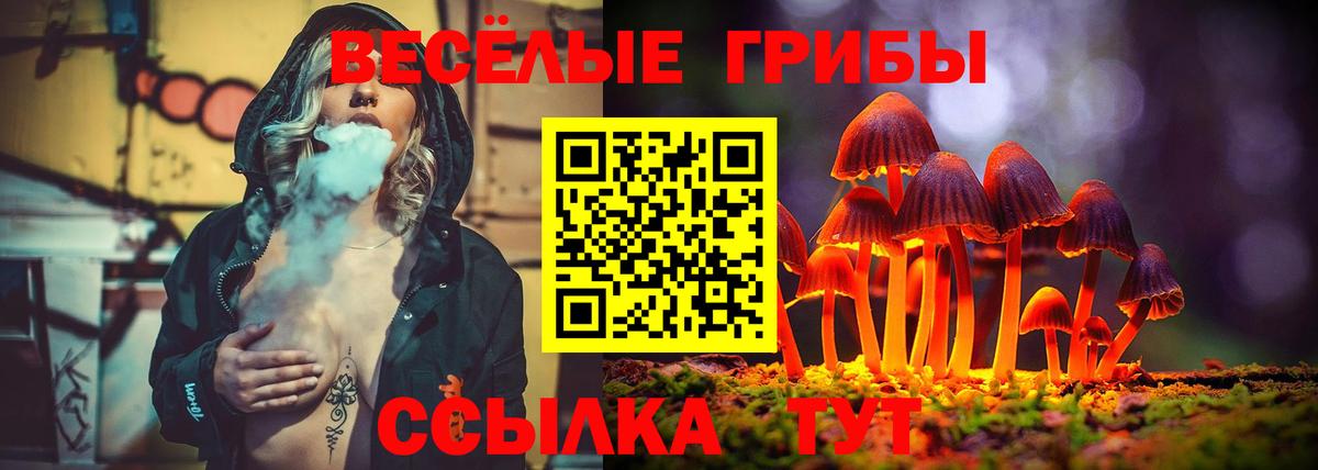 Галлюциногенные грибы Cubensis Алушта